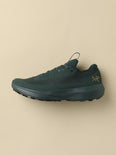 Norvan LD 4 GTX Shoe (Women's) - X000010399