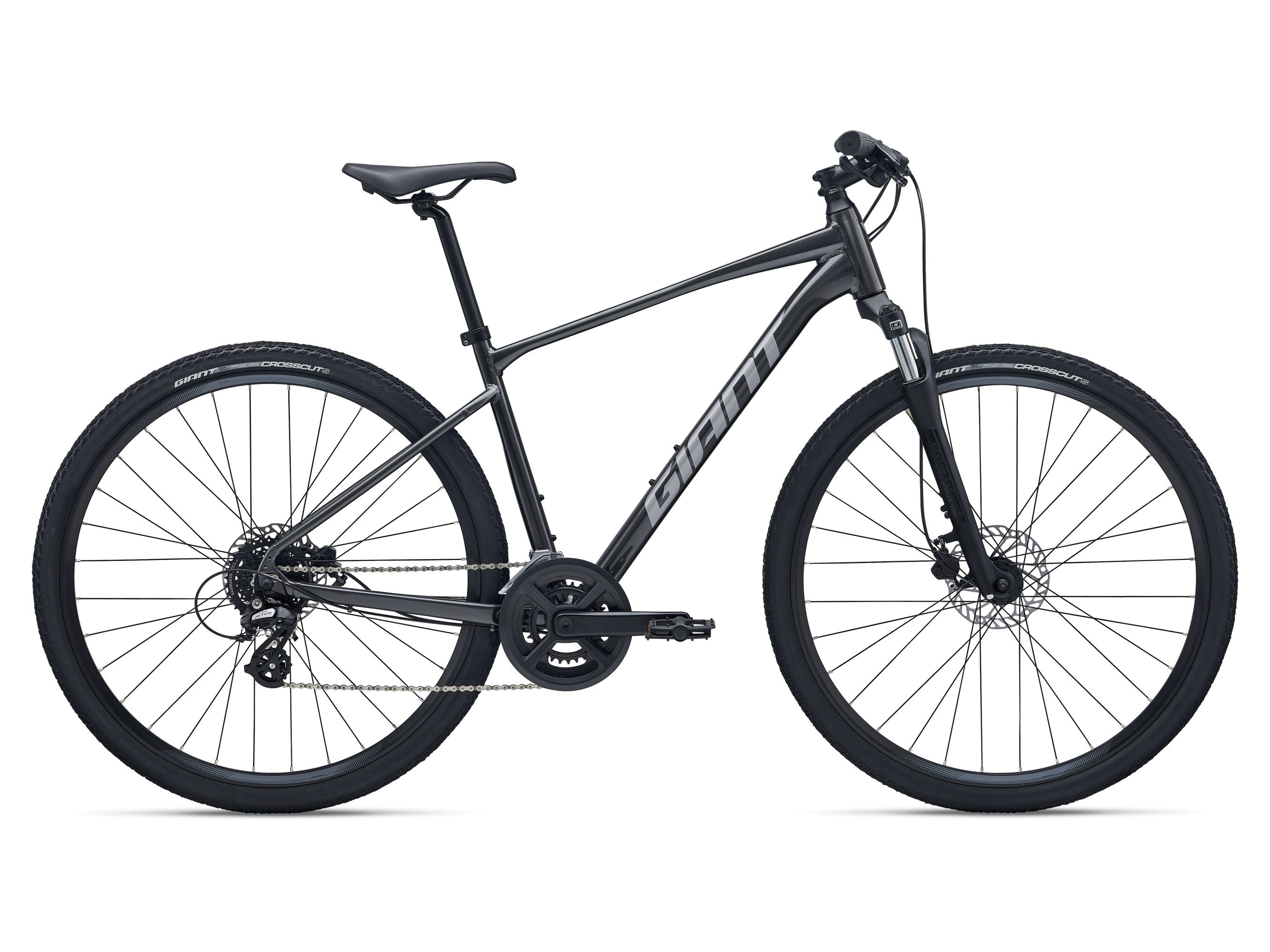 Roam 4 (2026)