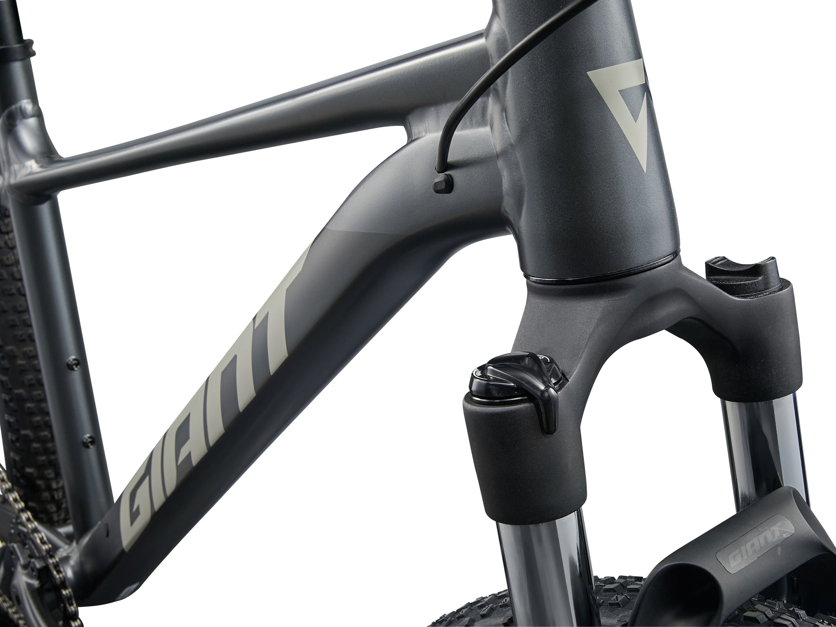 Giant - Talon 1 (2025) | Mountain Bike – The Outfitters Adventure