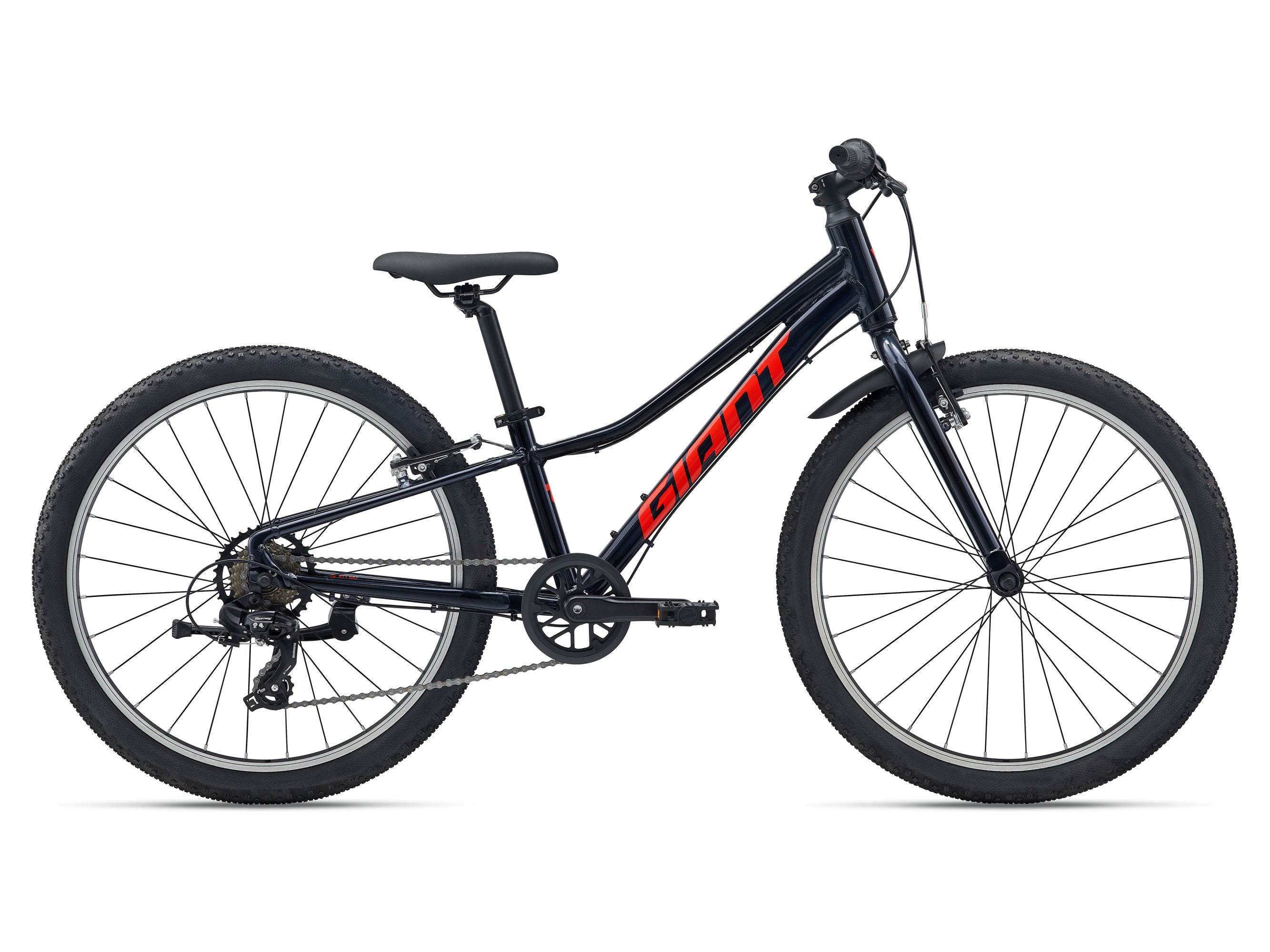 Talon 24 Lite Bike (2026)