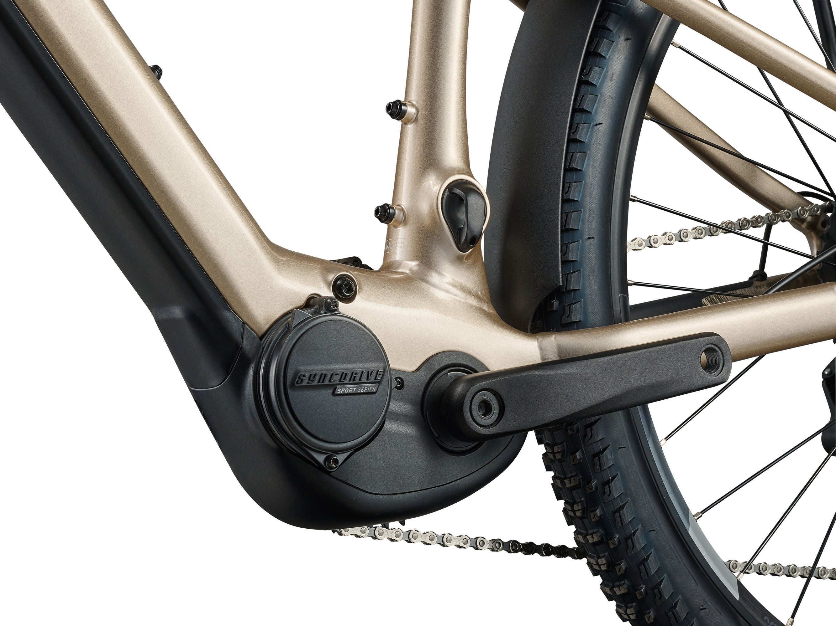 LIV - Tempt E+ EX (2026) | Women's Electric Bike – The Outfitters