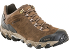 Brown hiking shoe with visible branding on a white background