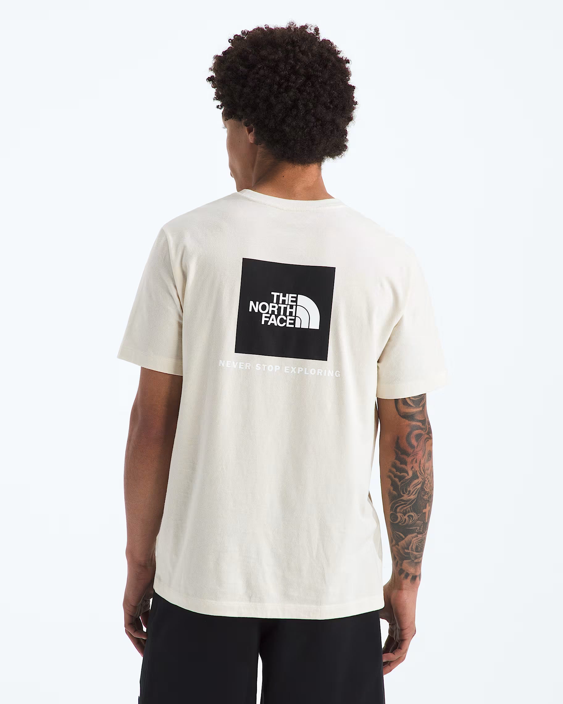 Evolution Box NSE Regular Short-Sleeve Tee (Men's) - NF0A8B6K