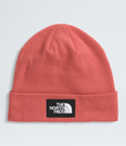Dock Worker Recycled Beanie - NF0A3FNT - Past Season