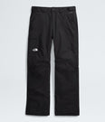 Freedom Insulated Pants - Regular (Men's) - NF0A5ABU - Past Season