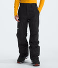 Freedom Insulated Pants - Long (Men's) - NF0A5ABU - Past Season
