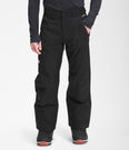 Seymore Pants (Men's) - NF0A5ABW - Past Season