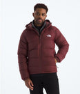 Hydrenalite Down Hoodie (Men's) - NF0A5GIE