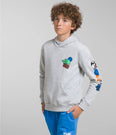Camp Fleece Pullover Hoodie (Boys') - NF0A82SW - Past Season