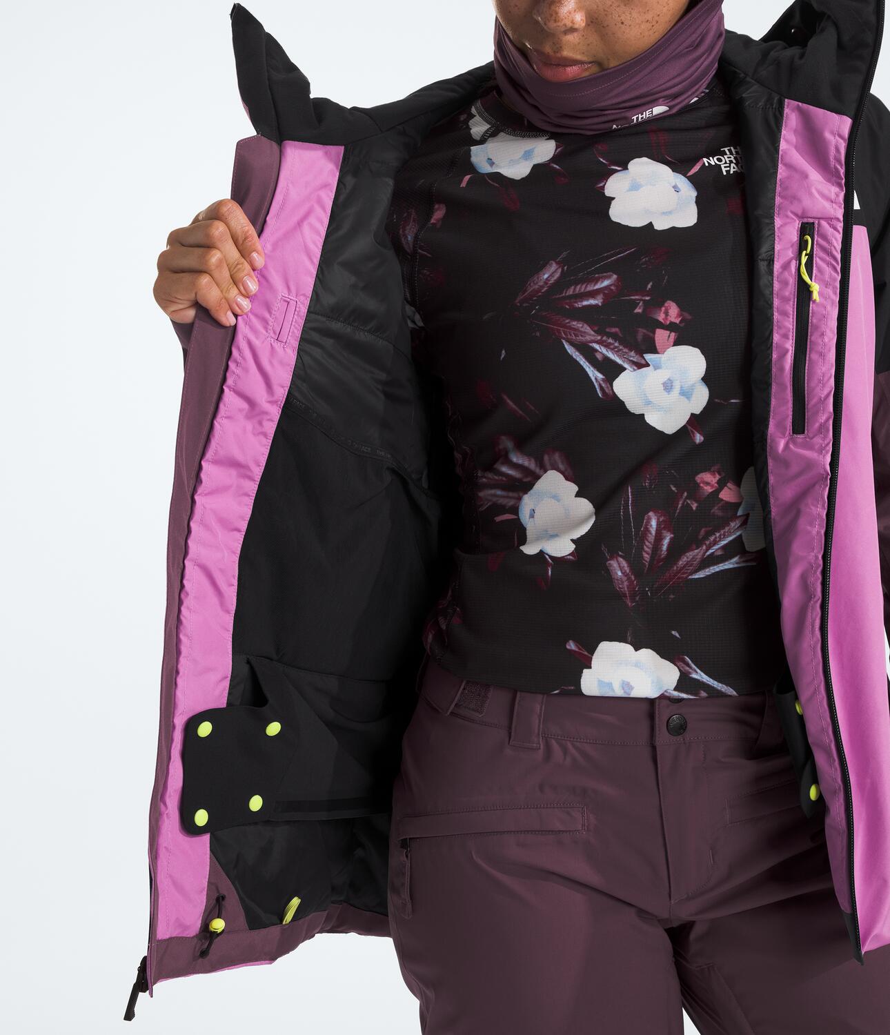 Dawnstrike GORE-TEX® Insulated Jacket (Women's) - NF0A82W9