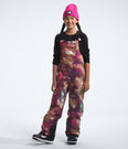 Big Kids’ Freedom Insulated Bibs (Kids') - NF0A82YT - Past Season