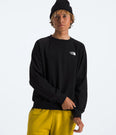 Evolution Crew (Men's) - NF0A86WA - Past Season