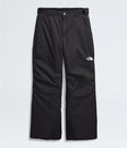 Freedom Insulated Pants (Boys') - NF0A88TY - Past Season