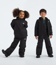 Freedom Insulated Jacket (Kids') - NF0A88VK - Past Season