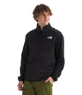 Crest 1/4-Zip Fleece Jacket (Men's) - NF0A897D - Past Season
