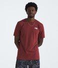 Evolution Box NSE Short-Sleeve Tee (Men’s) - NF0A8B6K - Past Season