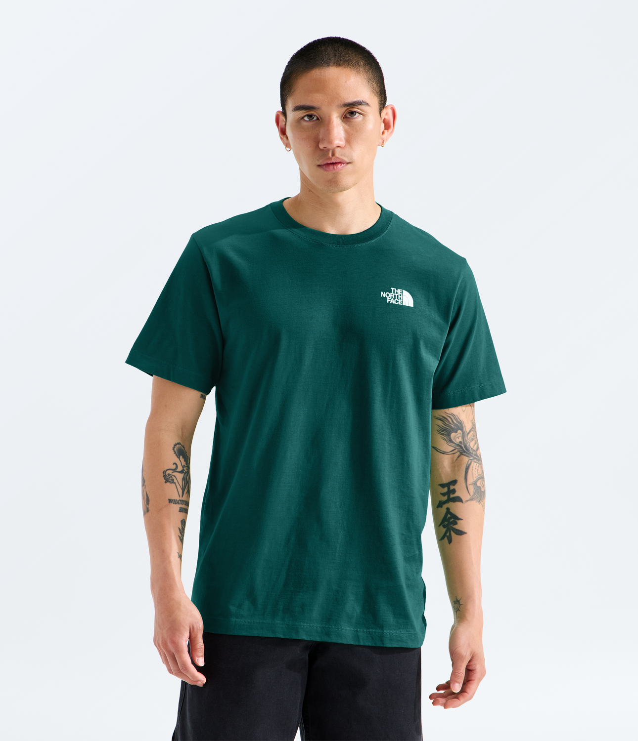 Evolution Box NSE Regular Short-Sleeve Tee (Men's) - NF0A8B6K