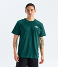 Evolution Box NSE Regular Short-Sleeve Tee (Men's) - NF0A8B6K
