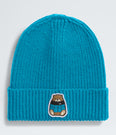 TNF Logo Box Cuffed Beanie (Kids') - NF0A8DBC