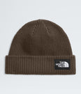 Salty Lined Beanie - NF0A8CGZ