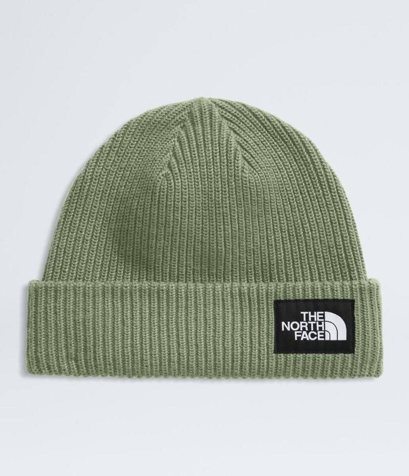 Salty Lined Beanie - NF0A8CGZ