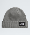 Salty Lined Beanie - NF0A8CGZ