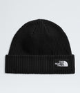 Salty Lined Beanie - NF0A8CGZ