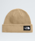 Salty Lined Beanie - NF0A8CGZ
