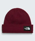 Salty Lined Beanie - NF0A8CGZ