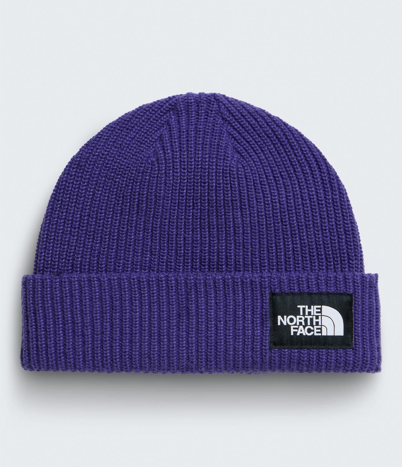 Salty Lined Beanie - NF0A8CGZ