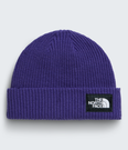 Salty Lined Beanie - NF0A8CGZ
