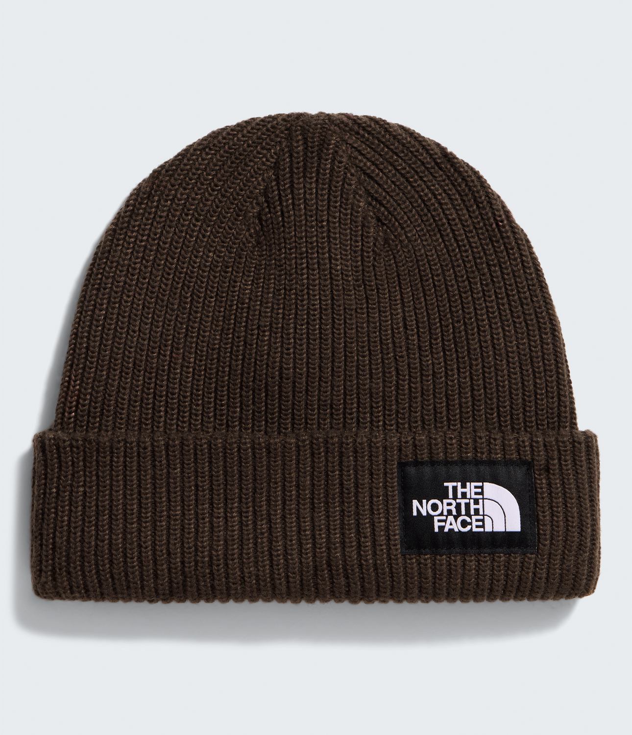 Salty Lined Beanie - NF0A8CGZ