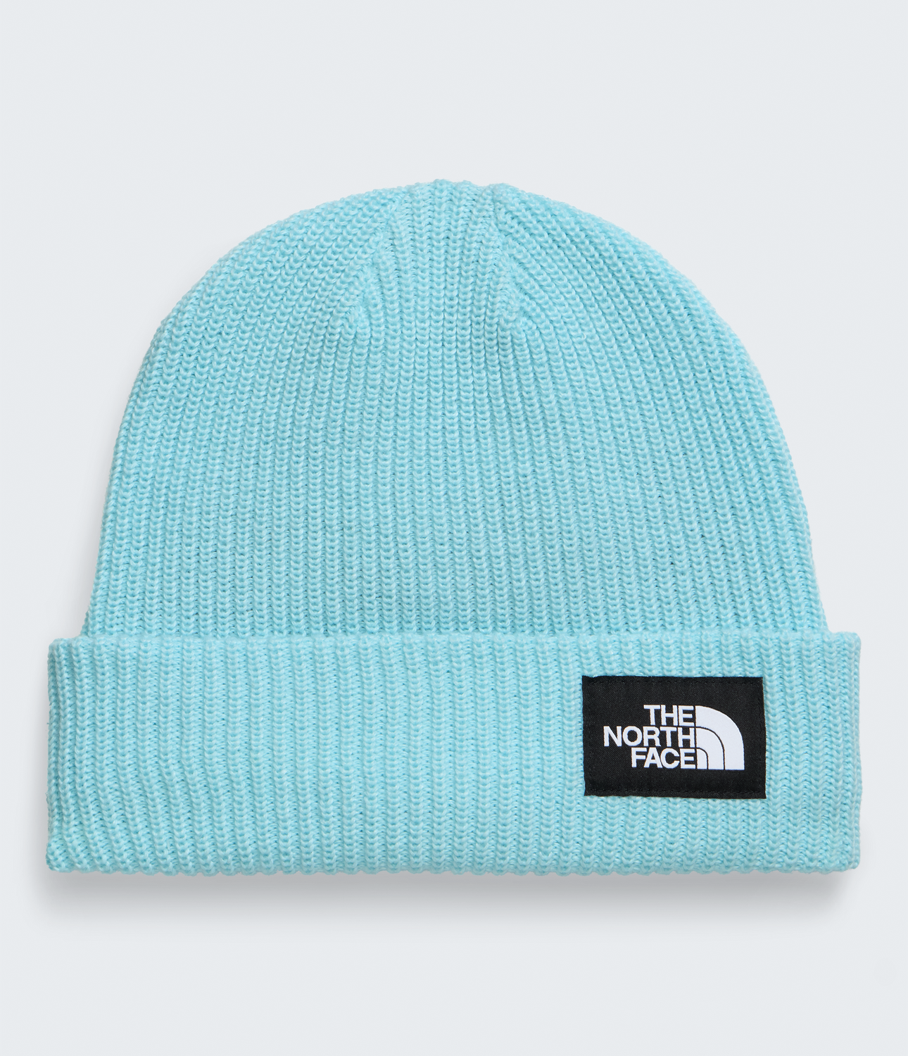 Salty Lined Beanie - NF0A8CGZ