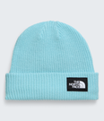 Salty Lined Beanie - NF0A8CGZ
