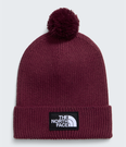 TNF Logo Box Pom Beanie - NF0A8CHF
