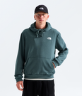 Evolution Box NSE Regular Hoodie (Men's) - NF0A8CWP