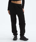 Glacier Fleece Pant (Women's) - NF0A8DQR - Past Season