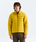 Aconcagua Jacket (Men's) - NF0A8H0M