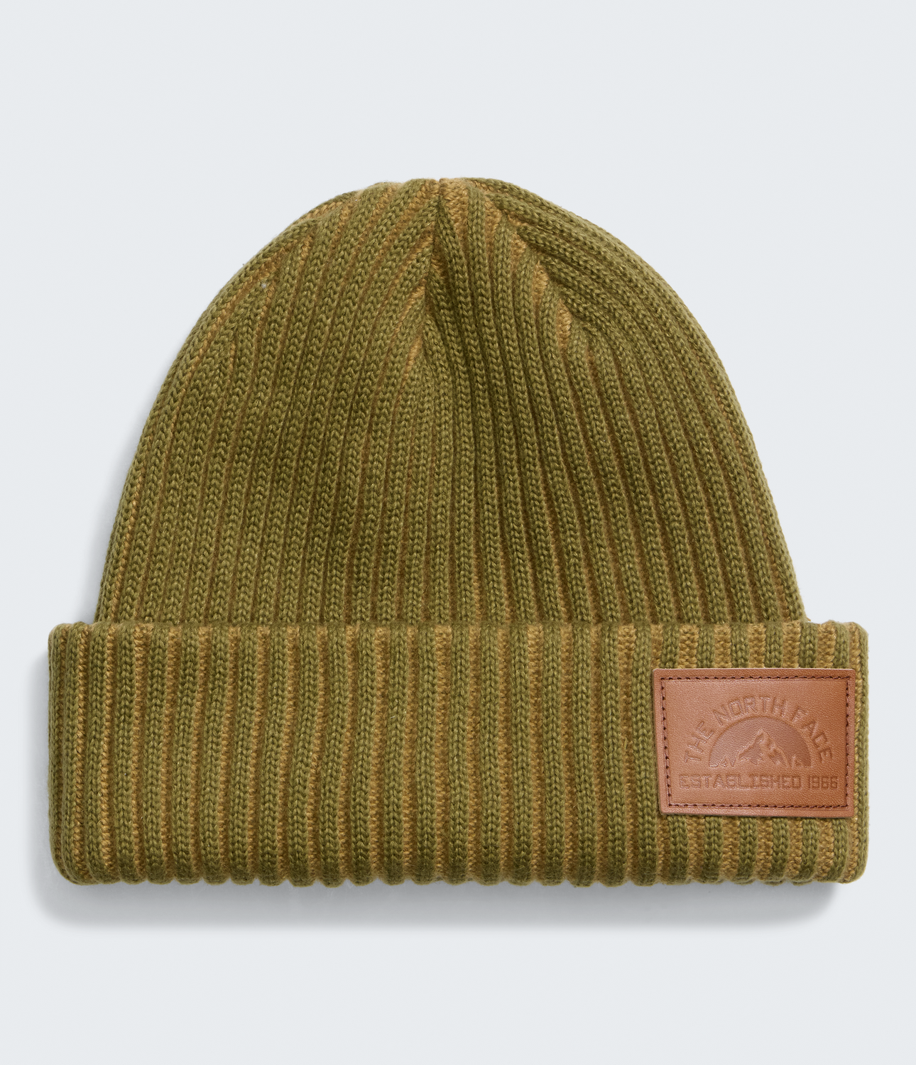 Salty Lined SE Beanie - NF0A8HMN