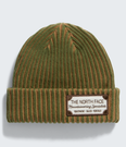 Salty Lined SE Beanie - NF0A8HMN