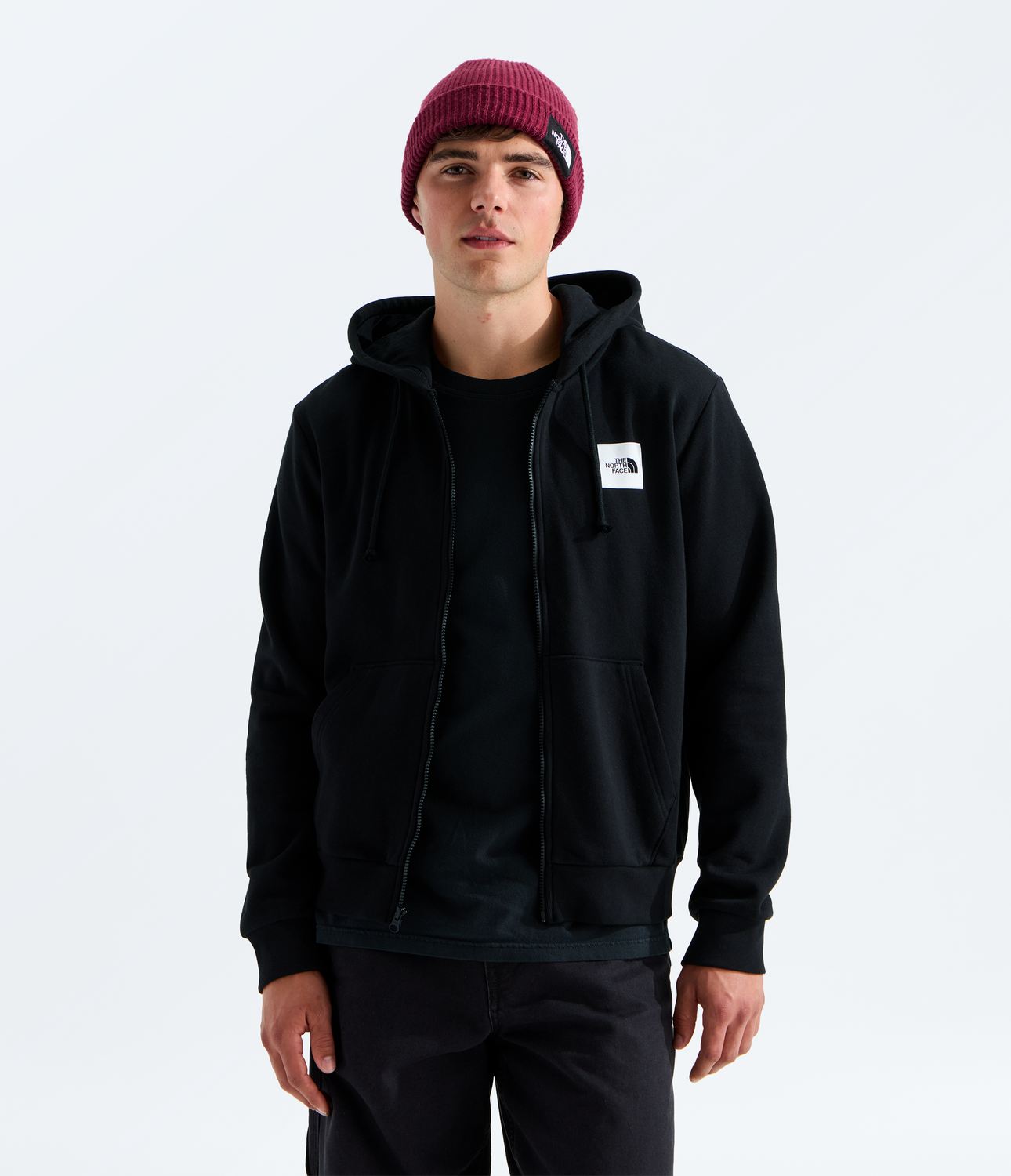Evolution Box Half Dome Regular Full Zip Hoodie (Men's) - NF0A8JAZ