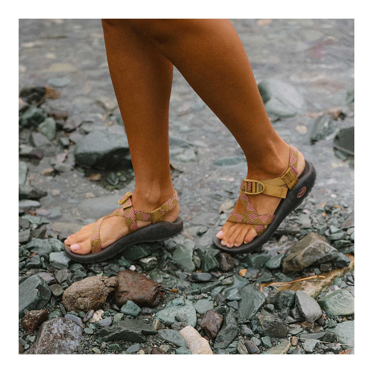 Chaco - Z/Cloud Cushioned Sandal (Women's) | The Outfitters – The