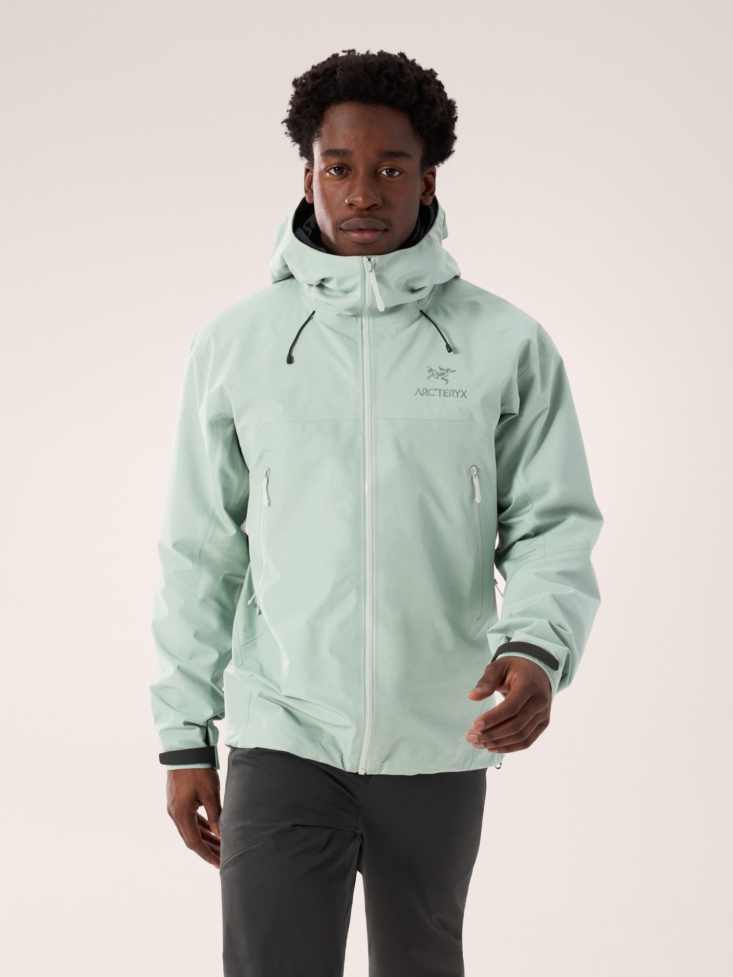Beta AR Jacket Stormhood (Men's) - X000006488 - Past Season