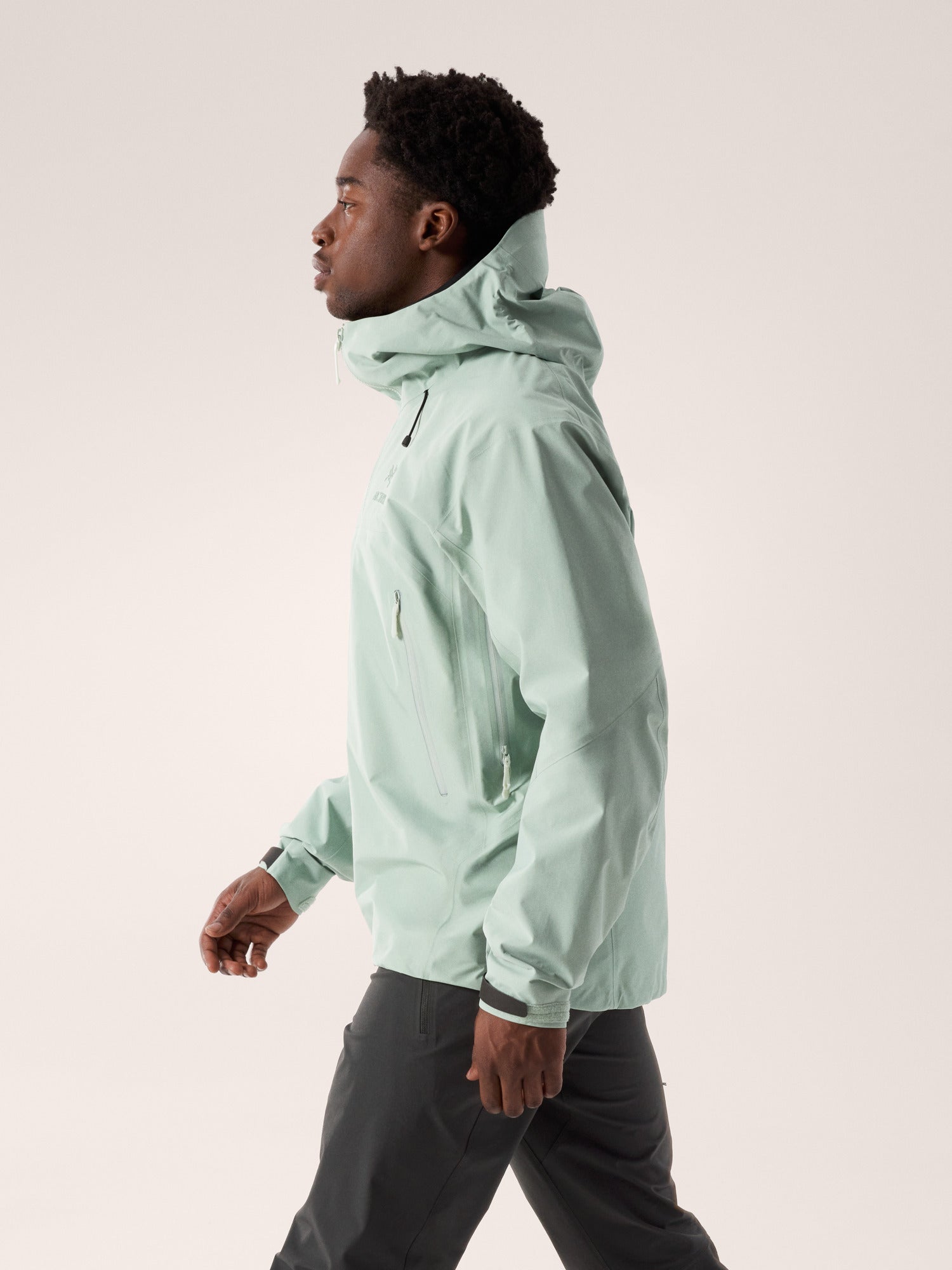 Arc'Teryx - Men's Beta AR Jacket Stormhood | Past Season – The