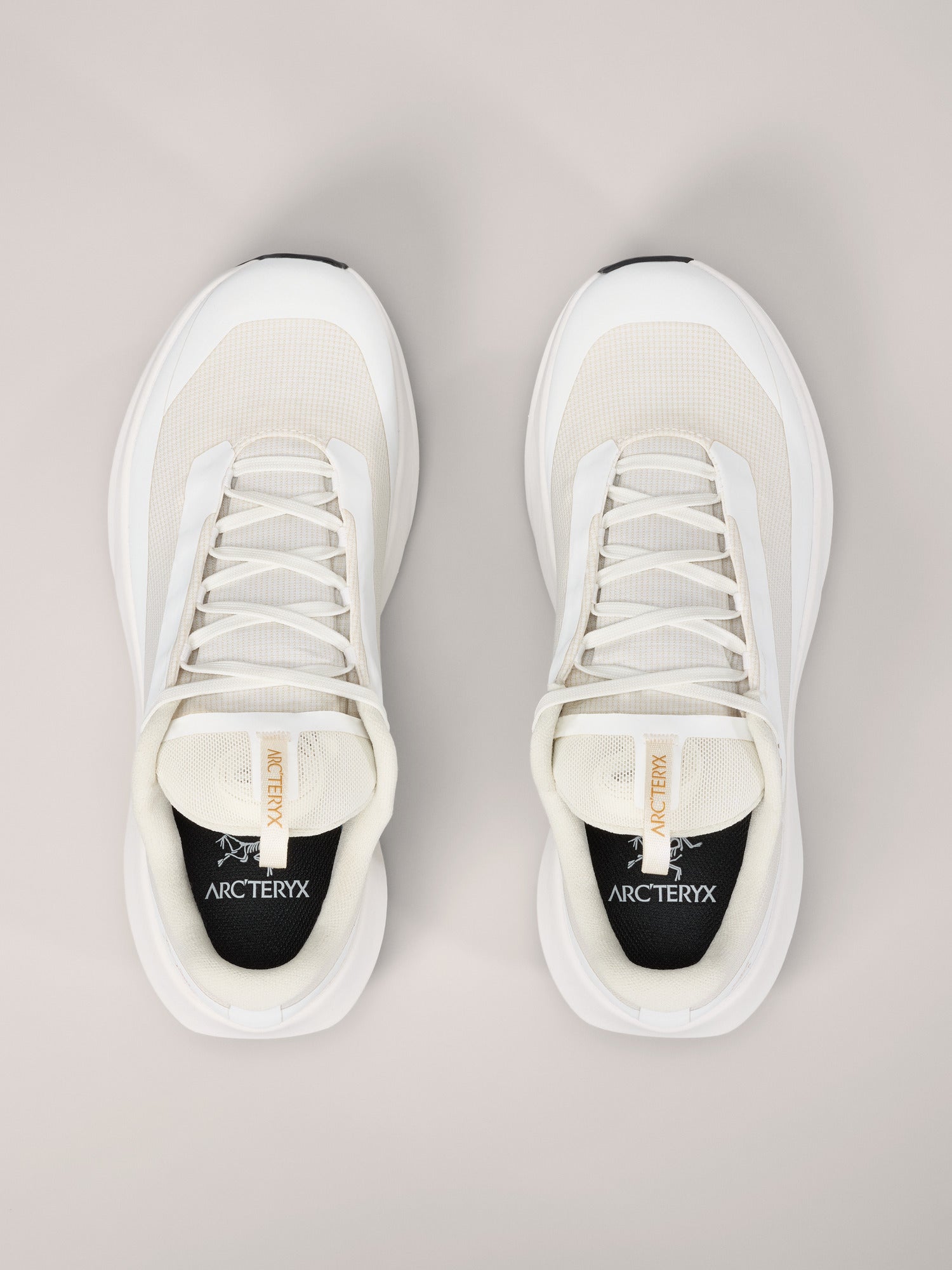 トトノエライト S25-X000009618-Norvan-LD-4-