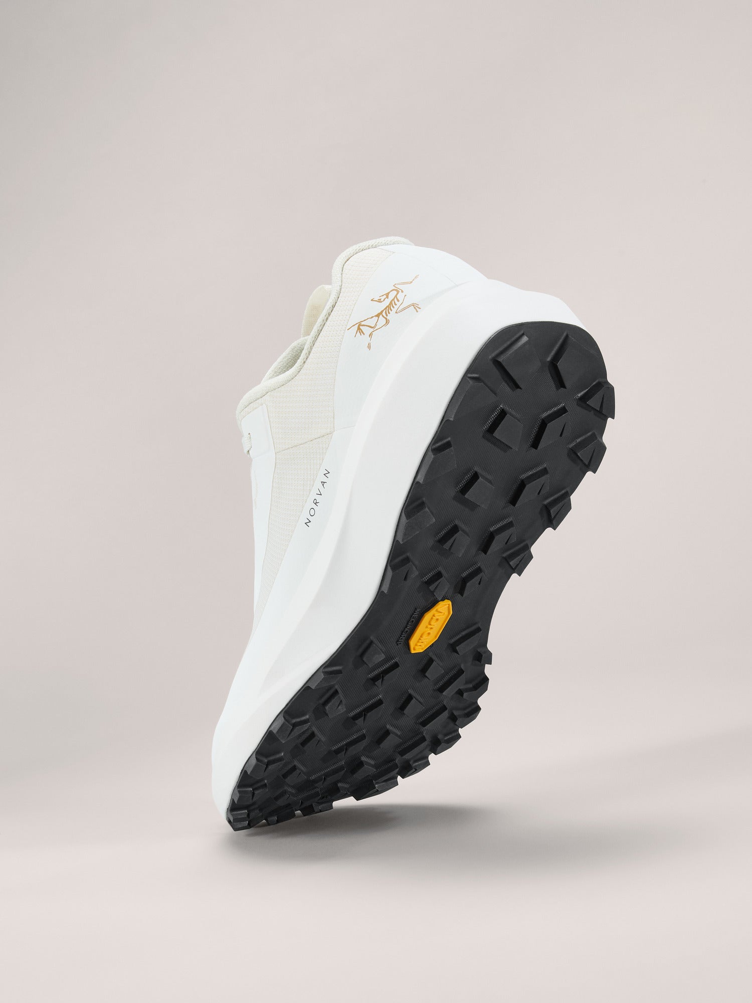 トリスリナックス トリスリナックス 楽天市場】【現品・現物】Trithrinax campestris