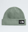 Salty Lined Beanie - NF0A8CGZ