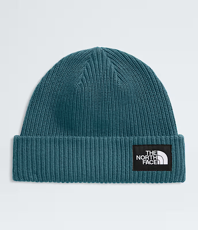 Salty Lined Beanie - NF0A8CGZ