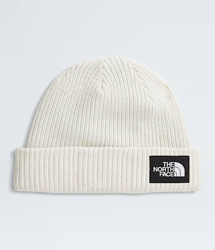 Salty Lined Beanie - NF0A8CGZ