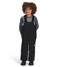 Freedom Insulated Bibs (Kids') - NF0A7WPB - Past Season